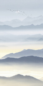 新传 大气新画玄关 Tif分层