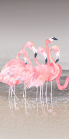 最新 欧式清晰玄关 TiF分层