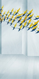 人气 欧式清晰玄关 TiF分层