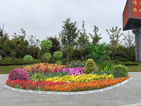 节日花坛
