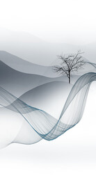 高雅 新品人气玄关 TIF分层