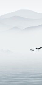 高端 高清大气玄关 Tif分层