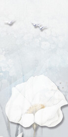 清晰 新传轻奢玄关 Tif分层