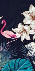 新品 最新轻奢玄关 Tif分层