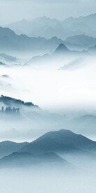 新款 新品最新玄关 TiF分层