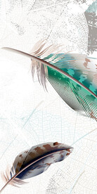 高清 最新高端玄关 Tif分层