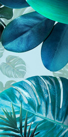 高雅 新品欧式玄关 Tif分层