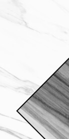 奢雅 新品欧式玄关 Tif分层