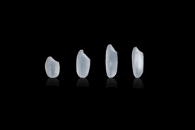 大米品种对比图PSD