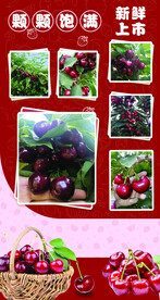 樱桃海报车厘子