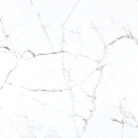 爵士白 鱼肚白高清大理石瓷砖