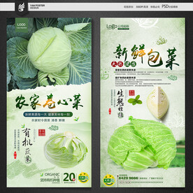 卷心菜