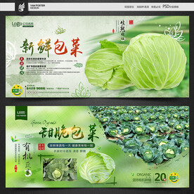 包菜