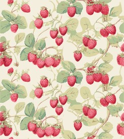 花纹浆果草莓背景图案