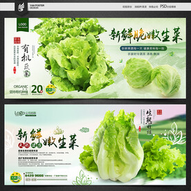 生菜