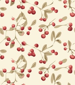 浆果设计无缝图案背景