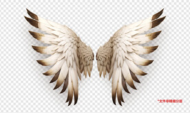 酷炫双色动漫卡通羽毛翅膀