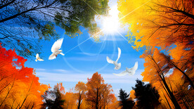 蓝天白云软膜天花