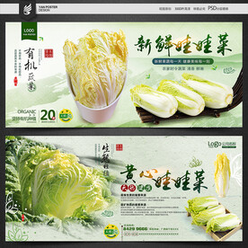娃娃菜
