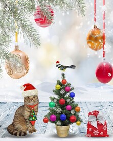 圣诞节花园旗圣诞猫