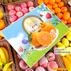 春见礼盒 耙耙柑包装 