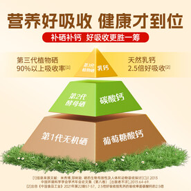 金色营养成分金字塔主图直通车