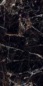 黑金花 金龙黑高清瓷砖设计