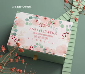 清新礼盒包装设计