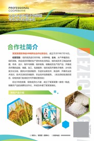 海报设计