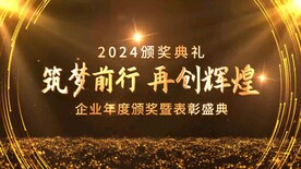 企业颁奖典礼大气金色AE模板