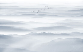 新中式餐厅水墨画墙画