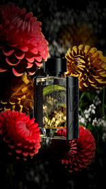 c4d场景菊花香水工程oc渲染