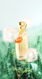 c4d场景浦公英香水oc渲染