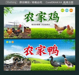 农家鸡 农家鸭