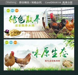 绿色散养 味原生态