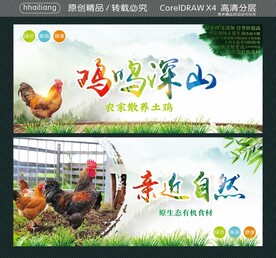 鸡鸣深山 亲近自然