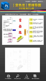 变色龙读书思维导图手抄报小报