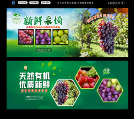 葡萄 