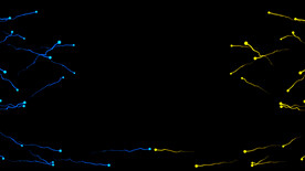 4k抽象粒子光线背景AE模板