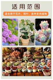 绿色 绿植 盆栽 