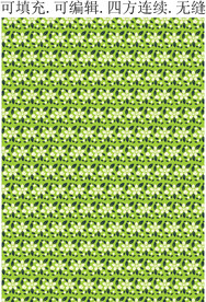 白色小花 田园风花卉 碎花