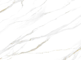 人气 最新爵士白画 TIf合层