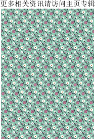 田园风花卉  花朵图案 