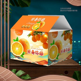 橙子包装 脐橙礼盒