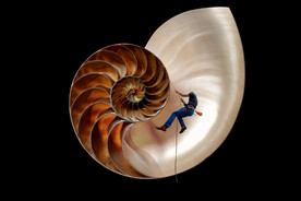 贝壳攀岩PS修图