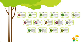 花卉植物形象墙