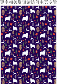 棕熊  卡通小熊图案 印花