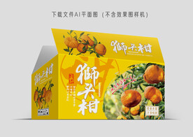 狮头柑包装