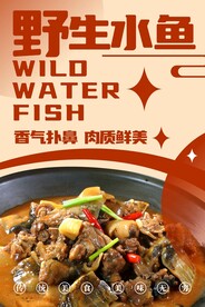 野生水鱼
