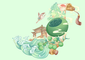 小青柑普洱茶包装插画